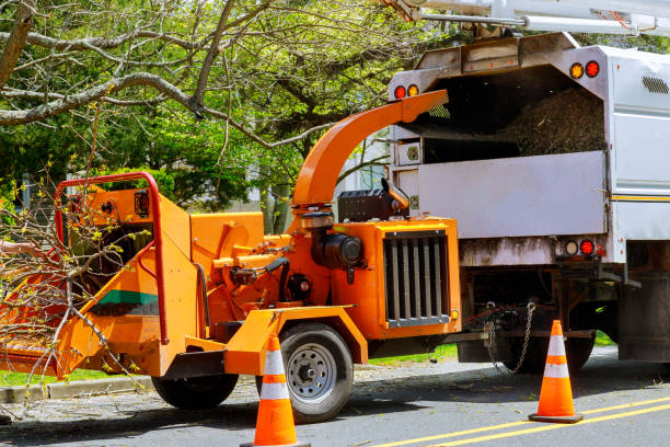 Best Grass Overseeding  in Bay Shore, NY